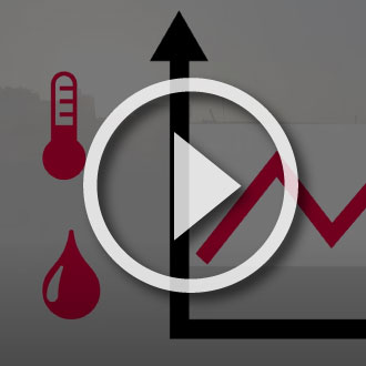 B+B Thermo-Technik Messtechnik & Sensorik | Measurement technology & sensors | Video kiro drying